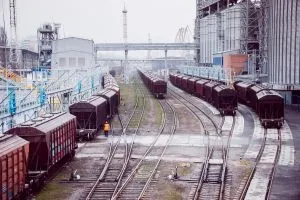 Зернова логістика на паузі: ключові фактори та причини падіння обсягів перевезень залізницею